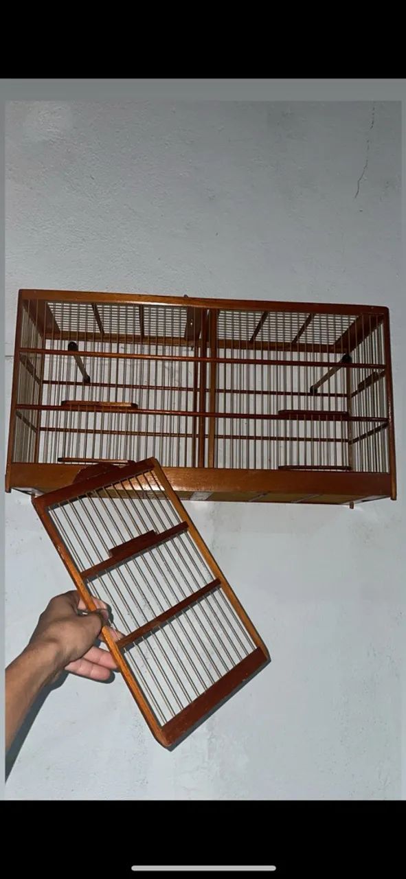 Voador passarinho 