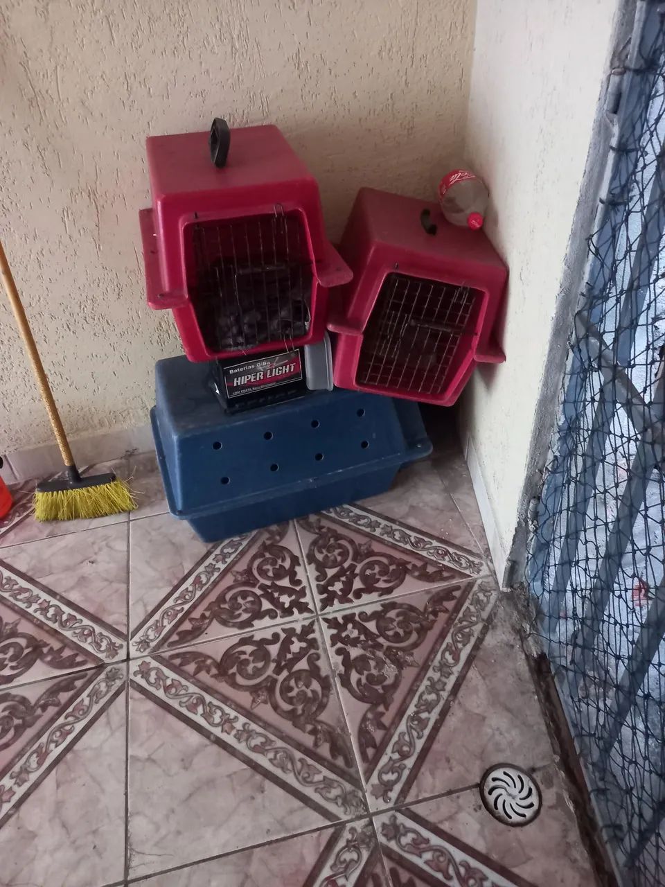 Pra banho e tosa