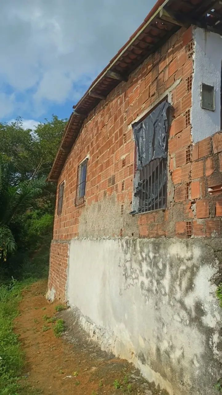 Jonata  - Foto 3