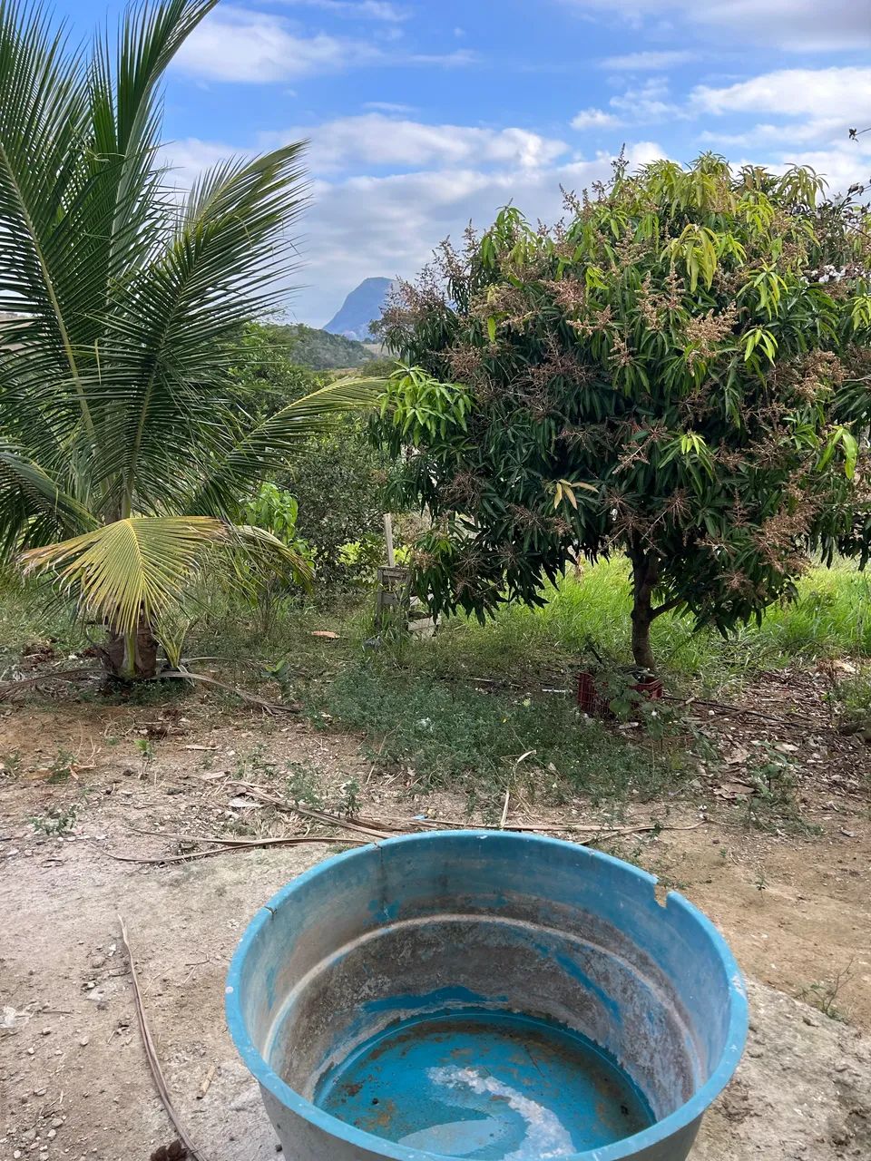 Chácara em Vila Merlo  - Foto 4