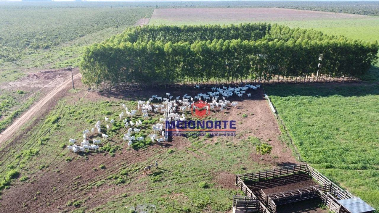 ## Fazenda à Venda ##