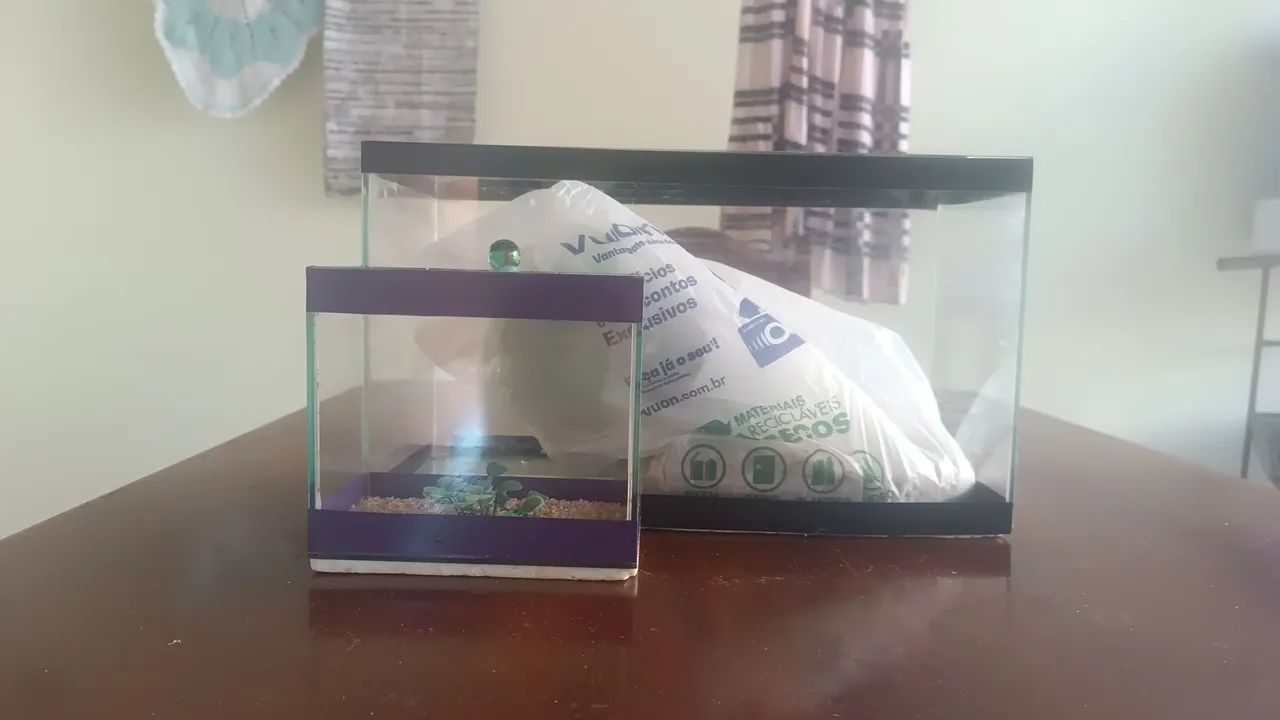 Aquário  - Foto 2