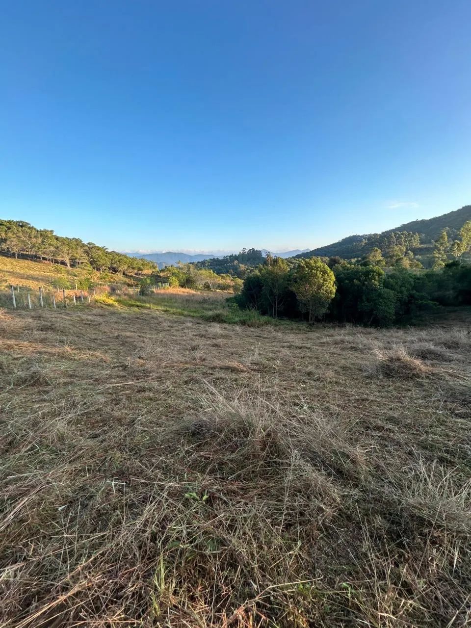 Terreno de 12.264 m² em Garopaba - Documentação Completa e Viabilidade para Construção - Foto 5