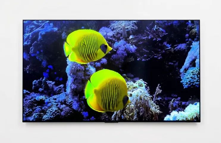 Smart TV LG OLED Evo 55 4K ThinQ AI OLED55C3PSA - Foto 2