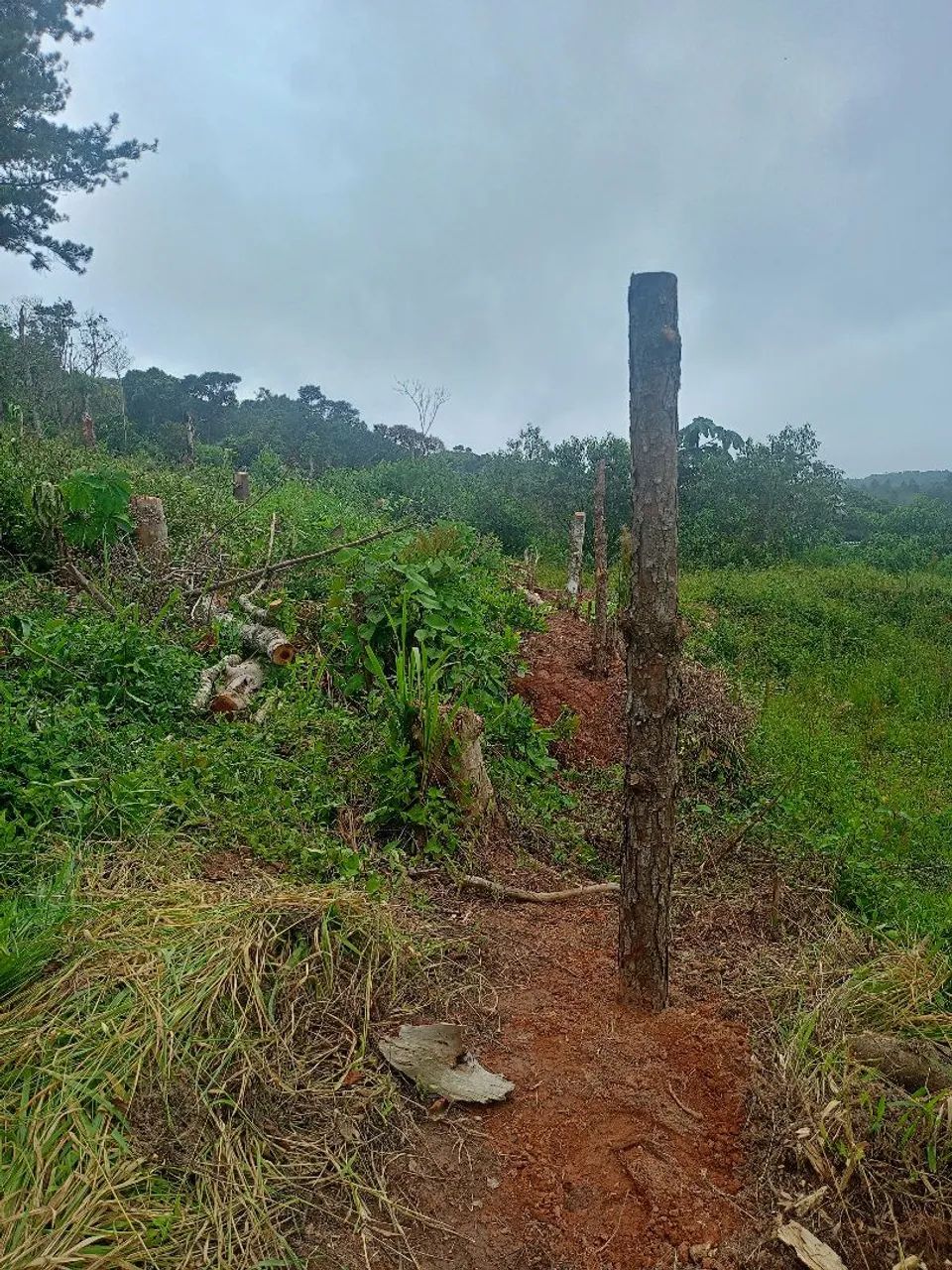 Foto - Itapecerica da Serra - Jardim Jacira