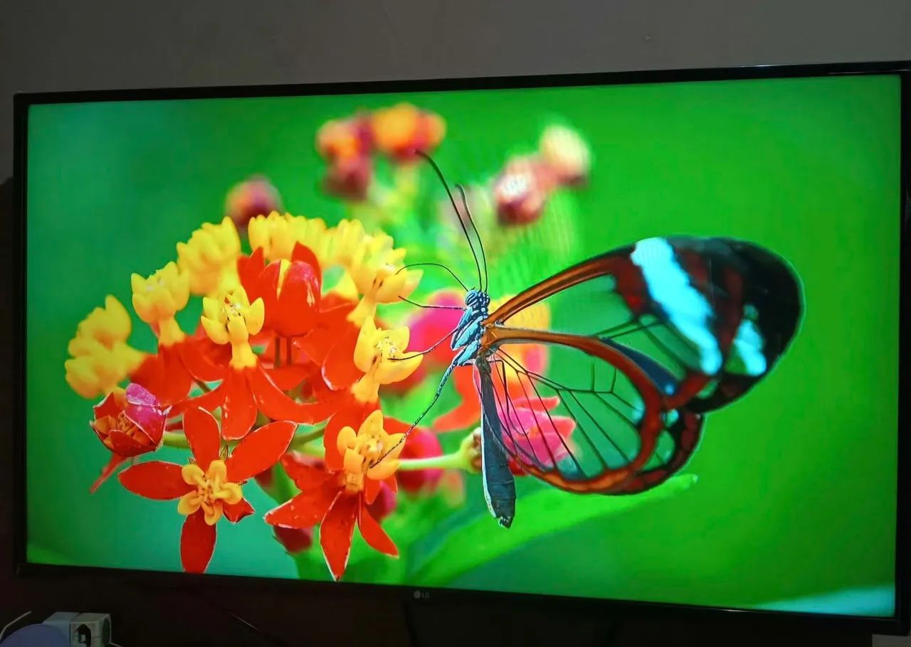 Tv smart 50 4K LG Nota Fiscal  - Foto 2