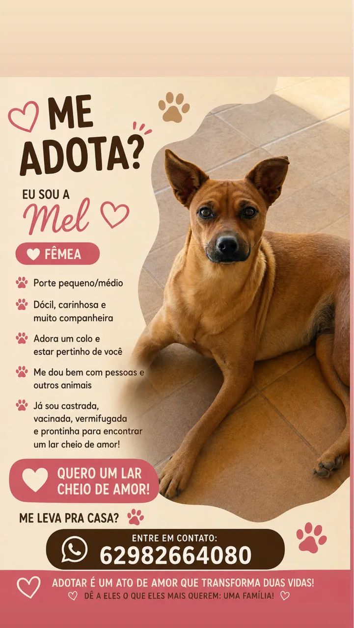 Doação responsável 