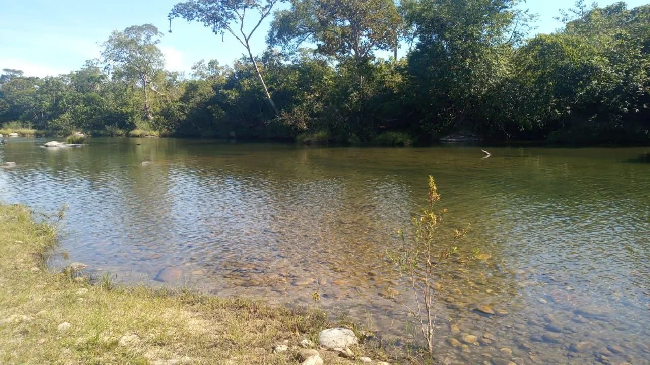 Fazenda de 325 alqueires entre Paranã To e Cavalcante - Foto 4