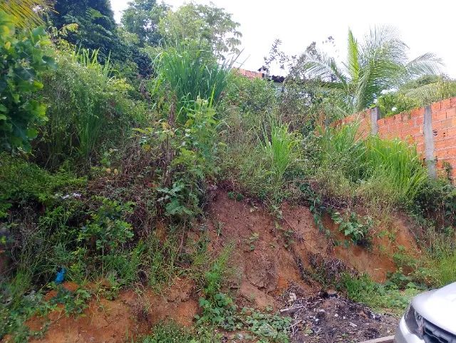 Vendo Imbassay- tratar com proprietário - Foto 5