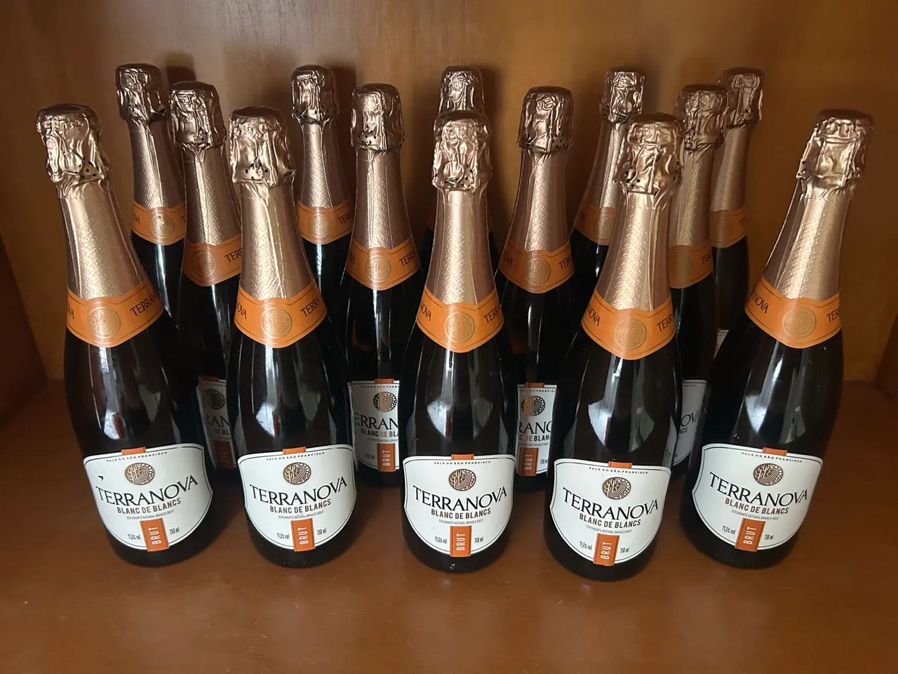 Espumante Terra Nova Brut