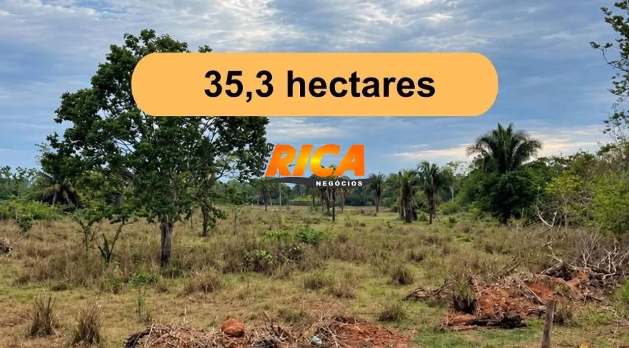 Vende-se Excelente Sítio em Urupá-RO!
