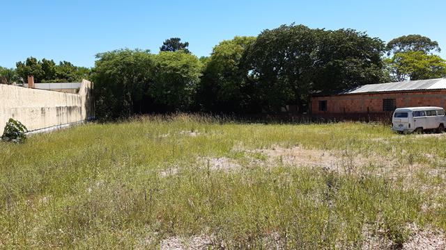 Terreno para alugar em , cod:I-023745 - Foto 8