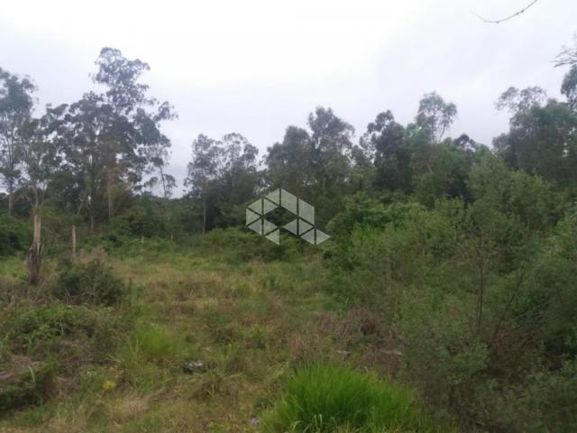 Terreno à venda em Lami, Porto alegre cod:TE1074 - Foto 7