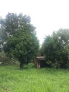 Urgente - Chácara em Luziânia - Foto 18