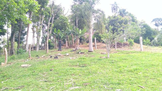 Chacara R$ 310,000.00 Faz. Rio Grande /Mandirituba medindo 20.000.00m2 - Foto 19