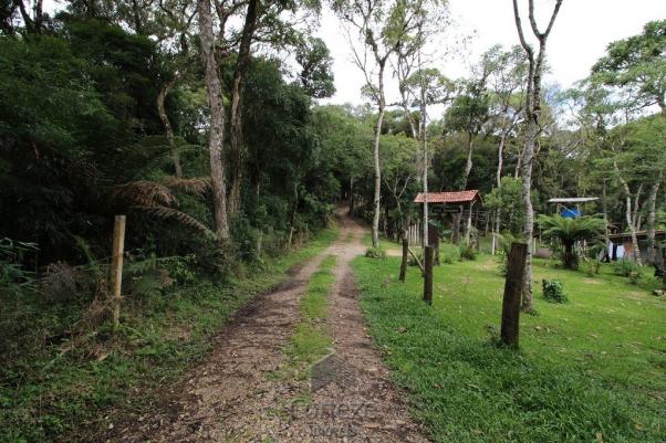 Terreno rural com 4.000 m² no Borda do Campo - Foto 8