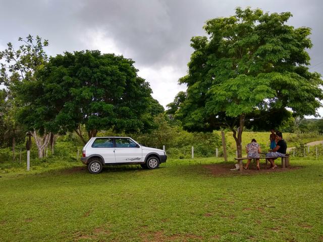 Fazenda de Cacau - Foto 2