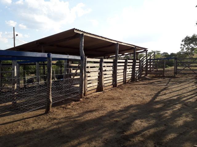 Fazenda à venda ou troca R$ 12 mil o Hectare- Zona Rural - Luziânia/GO - Foto 6