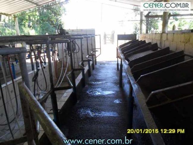 1620/Extraordinária fazenda de 220 ha com 2.000 l/leite dia de porteira fechada - oport - Foto 10