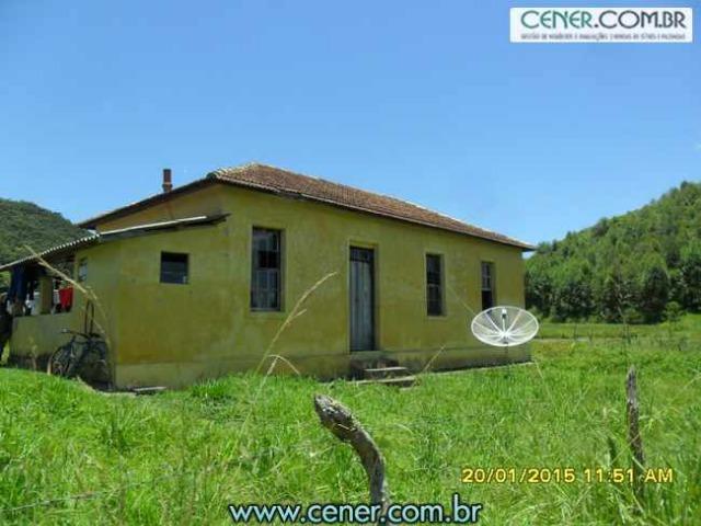 1620/Extraordinária fazenda de 220 ha com 2.000 l/leite dia de porteira fechada - oport - Foto 15