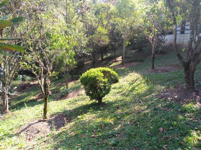 Chácara com casa de alto padrão e com linda e imensa piscina.(Tel. *) - Foto 17