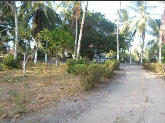 Vendo Chacara no cumbique por R$ 85 mil reais - Foto 5