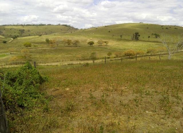 Vendo Fazendas - Foto 7