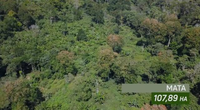 Fazenda de Cacau, Látex e Mogno no Brasil - Cidade Ituberá-BA - Foto 9