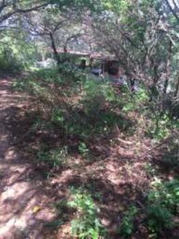 Granja-Chácara-Sítio 1,6 Hectares em Olinda, Aceito Automóvel ou imóvel - Foto 17