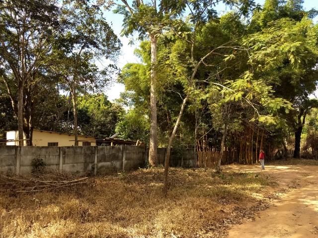 Vende-se bela chácara nos americanos em Luziânia - Foto 2