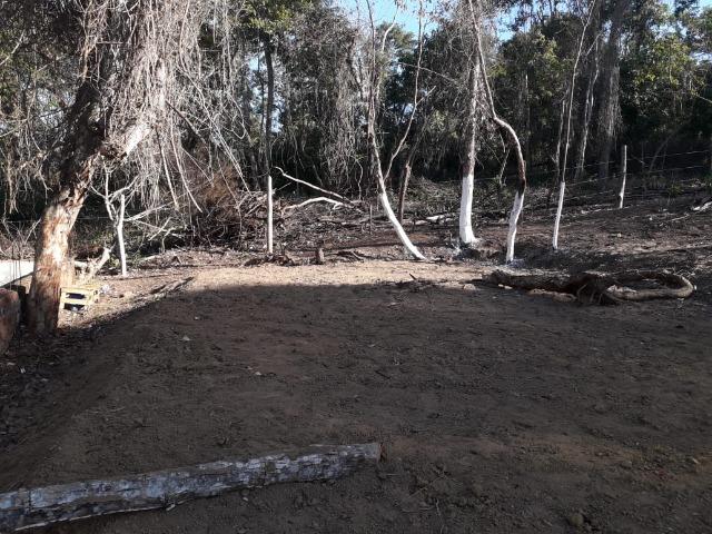 Terreno em Pindobal - Bambuí - Maricá - Foto 4