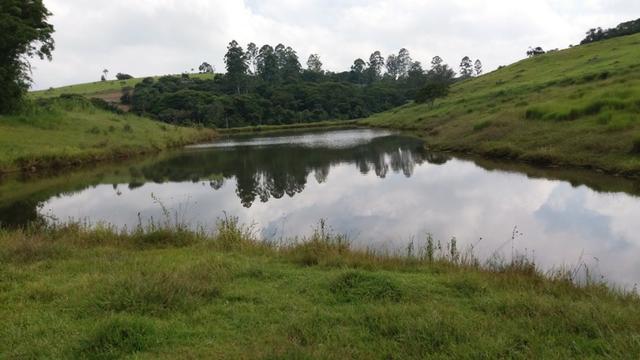 Sítio otima topografia com 10 A|lqueires - Bairro Pouso Alegre - Foto 8