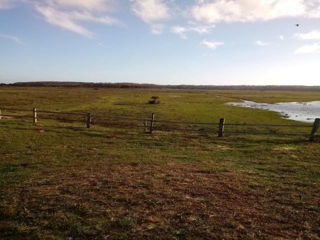 Bela Fazenda - Foto 17