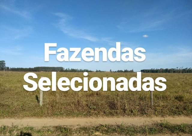 Vendo Fazendas