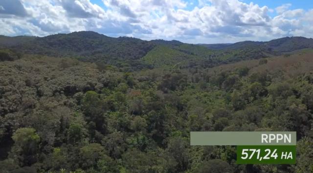 Fazenda de Cacau, Látex e Mogno no Brasil - Cidade Ituberá-BA - Foto 6