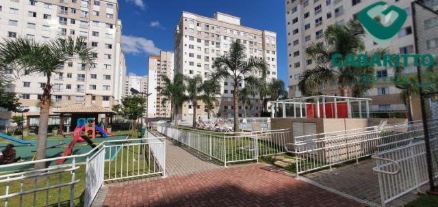 Apartamento para alugar com 3 dormitórios em Pinheirinho, Curitiba cod:00261.005 - Foto 19
