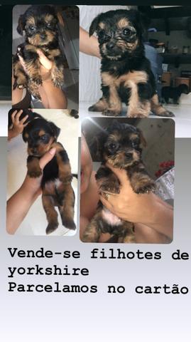 Vende-se