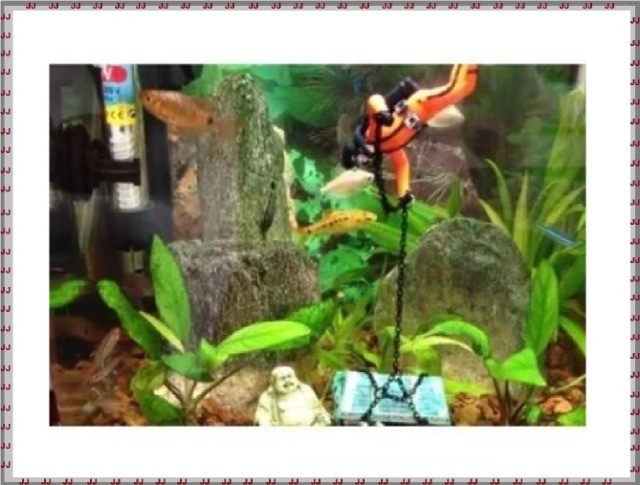 Enfeite para aquário - Mergulhador Com Baú - Foto 3