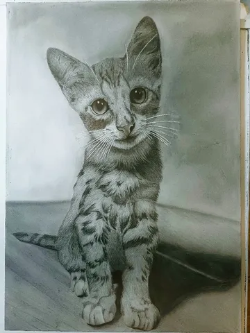 Desenho Realista De Fotografia E Animais A Mão S/ Moldura A4