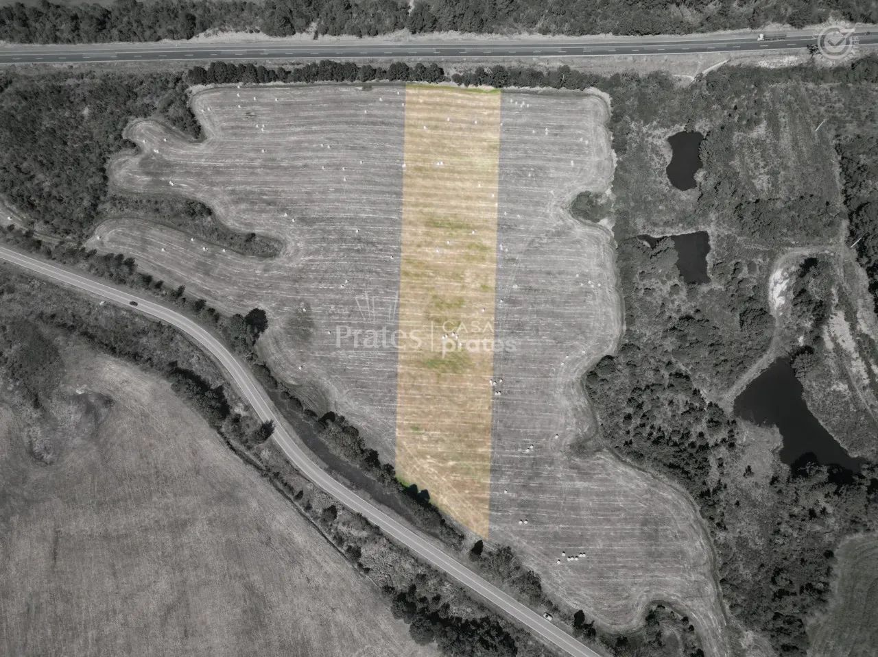 Você, seu projeto e um terreno em Witmarsum - Foto 2