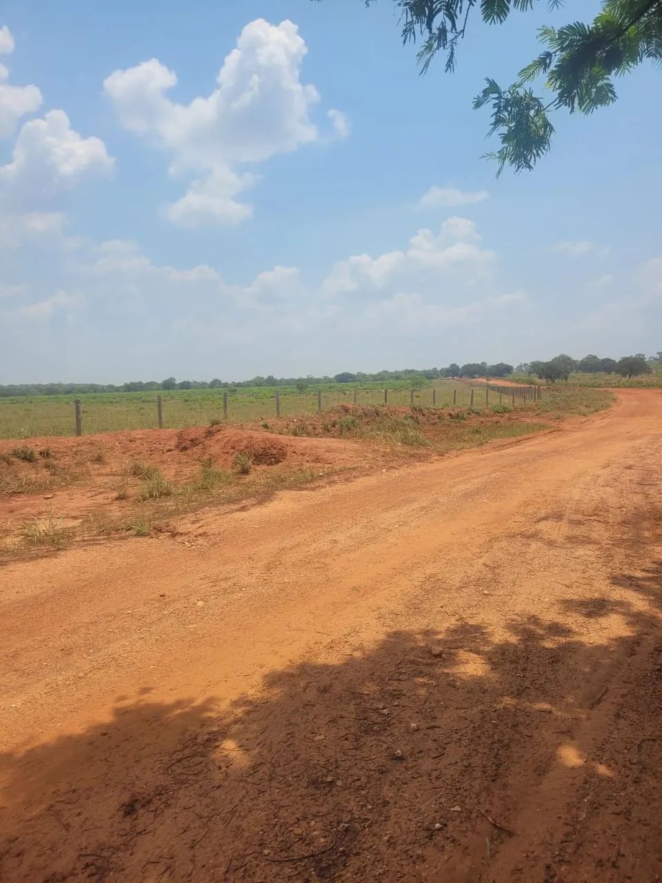 Fazenda município Nova Olinda Tocantins com 138 Alqueires - Nova Olinda - TO - Foto 2