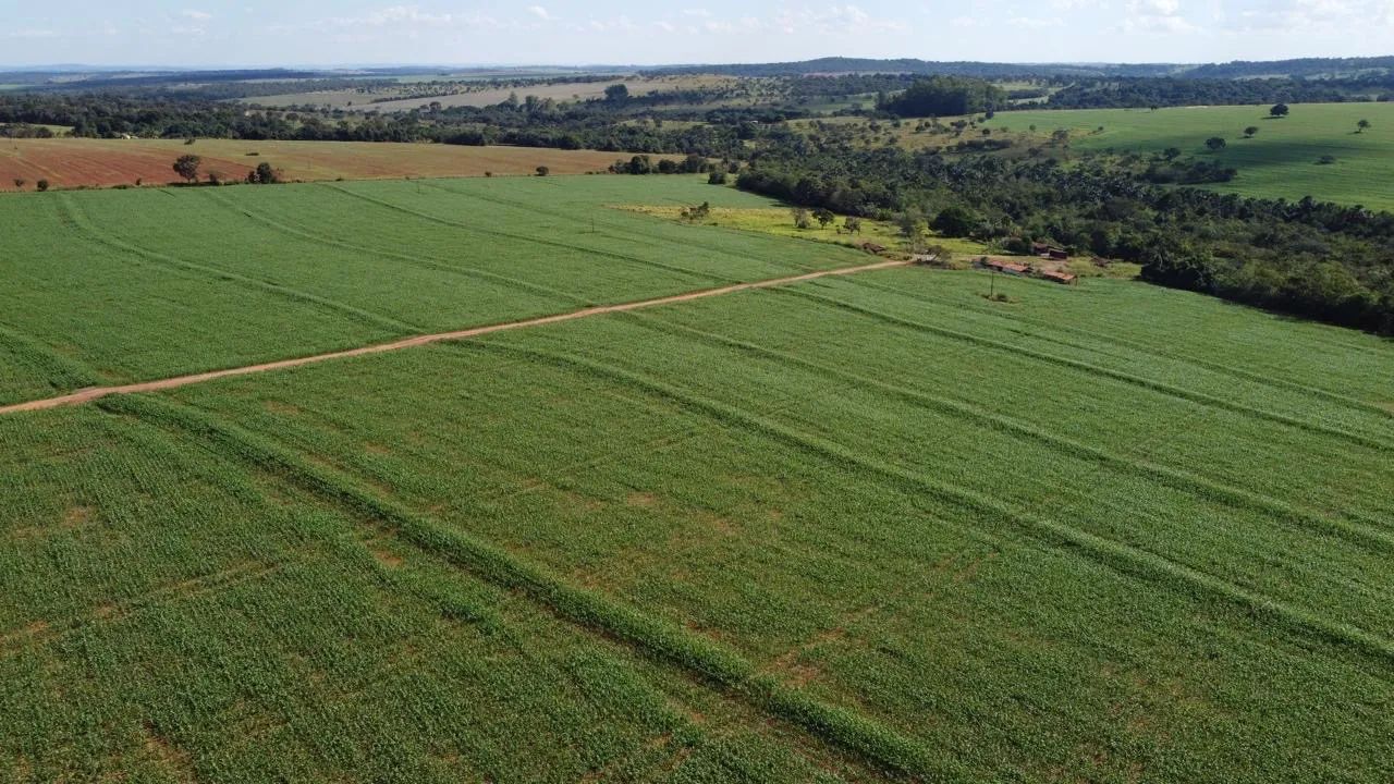 Fazenda município de catalão  - Foto 4