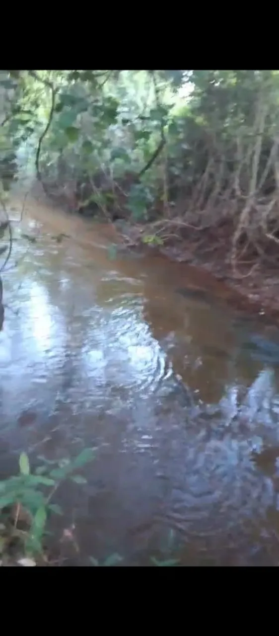 Chácara a 35km de Palmas