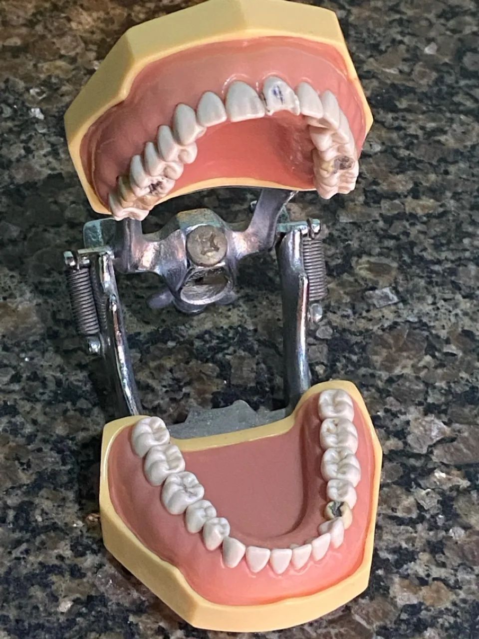 Manequim odontológico MOM - Dentística  - Foto 2