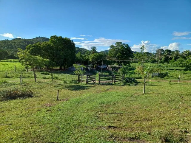 Fazenda de 45 Alqueires (218) hectares em Jussara - Goiás (1 km do asfalto)