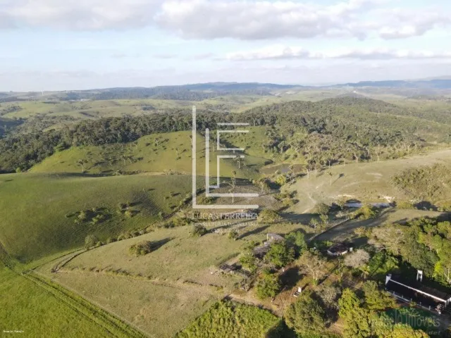 Fazenda de 112 hectares no Distrito Uruçu-Mirim em Gravatá-PE