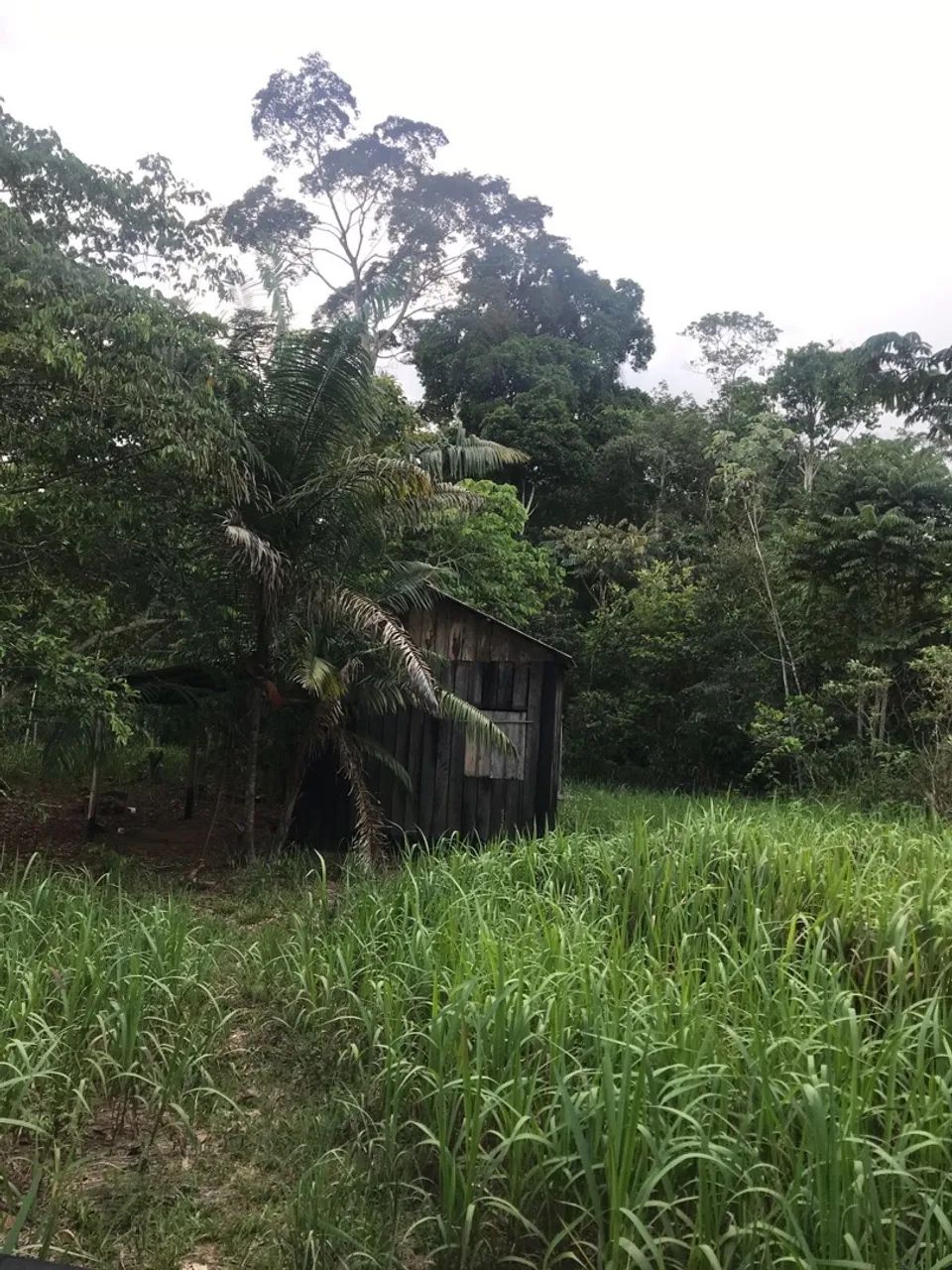 Chácara 100x250 - Foto 10