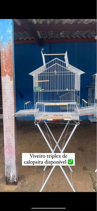 Viveiro Triplo para Calopsita