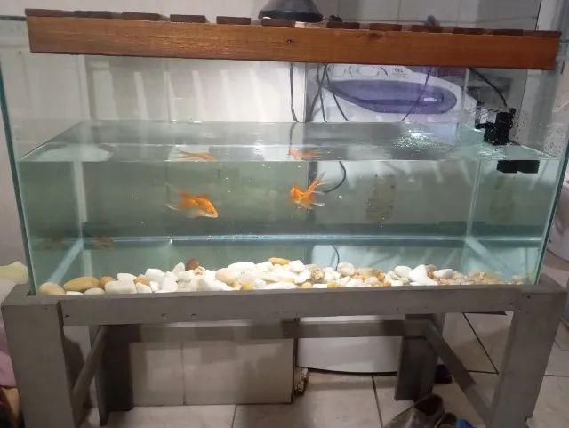 VENDO AQUARIO 150 LT - Foto 3