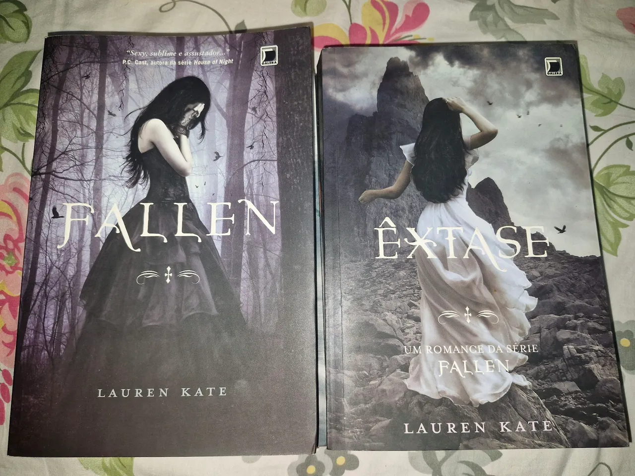 Livros Fallen e Extase - Lauren Kate